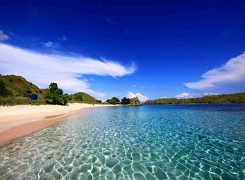 Paketr-Pantai-Pink